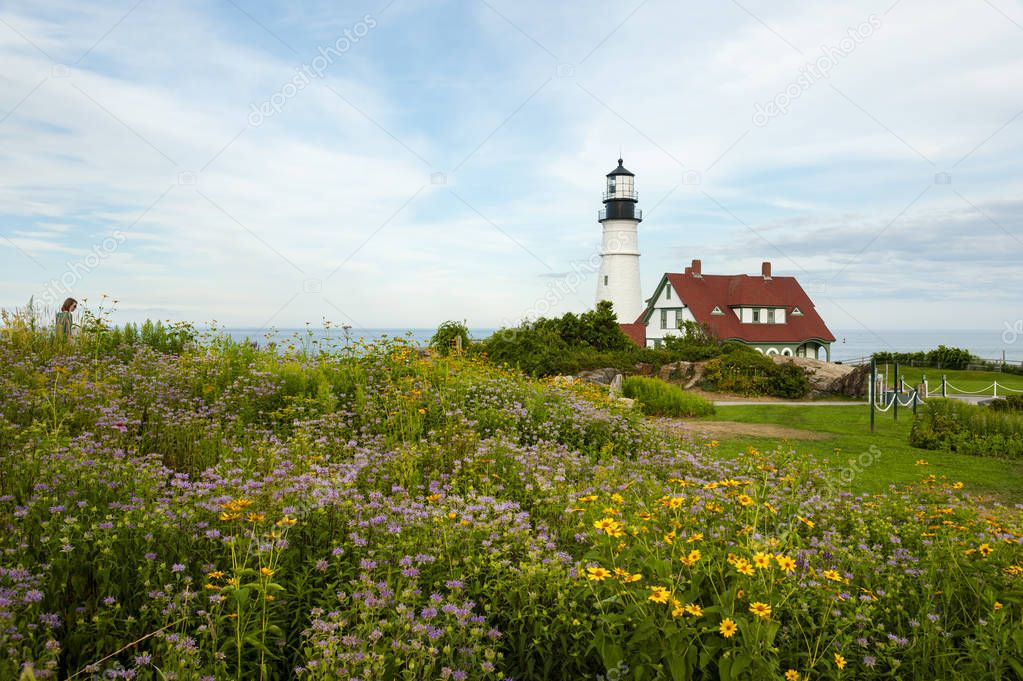 Maine Lighthouse with Wildflowers in Summer