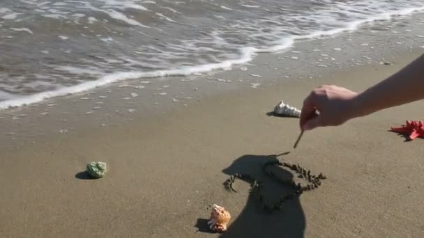 Feliz Ano Novo 2017 escrito na areia substituir Ano 2016 por onda do mar — Vídeo de Stock