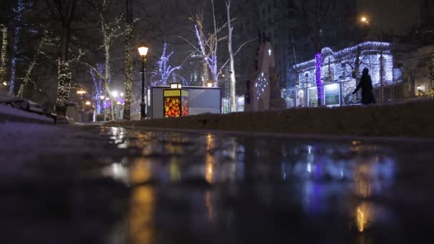 Calle decorada para la celebración de Navidad y reflexión sobre un charco — Vídeos de Stock
