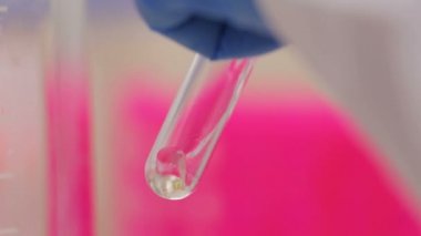 Biotechnologist yakından saf sıvı kimyasal laboratuvar cam şişede içine dökülen