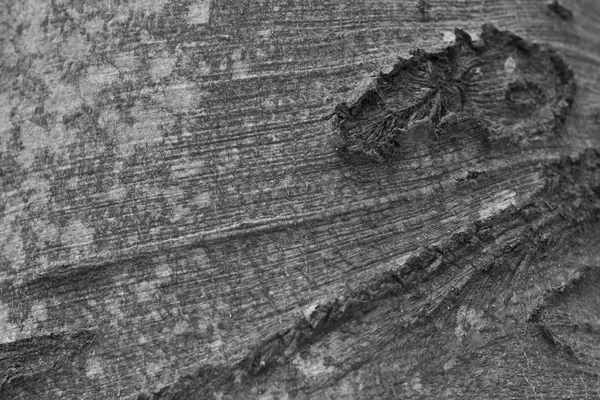 木材のテクスチャです。バック グラウンド — ストック写真