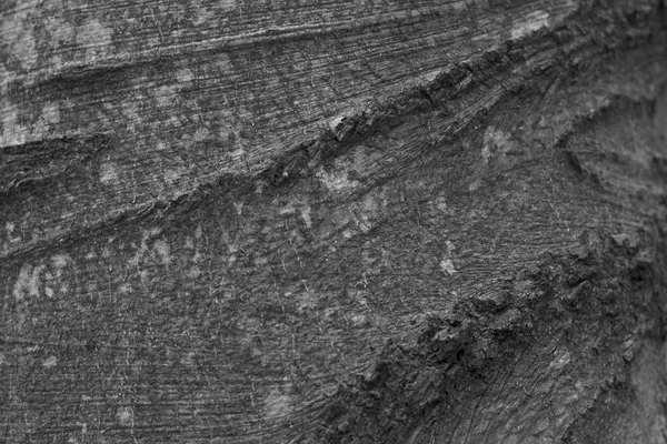 Textura de madeira. contexto — Fotografia de Stock