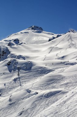 Smokin Ferner Buzulu Avusturya, 2015