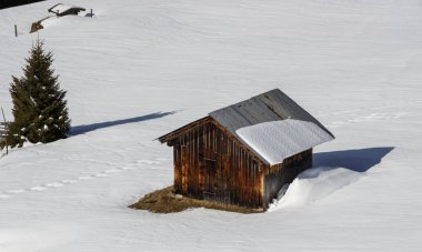 Avusturya 'da Smokin Alpleri, 2015