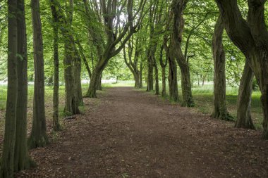 Geçit dar bir sokakta, 2017