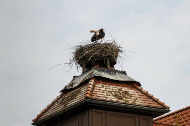 Ruehstaedt, Almanya, 2017 Stork's Nest