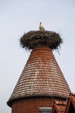 Ruehstaedt, Almanya, 2017 Stork's Nest