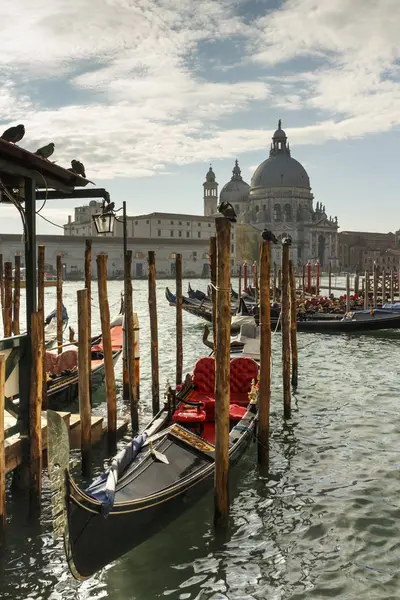 Eglise Sainte Marie de la Santé à Punta della Dogana et gondoles i — Photo