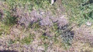 adam quadrocopter açılış yardım yakalar