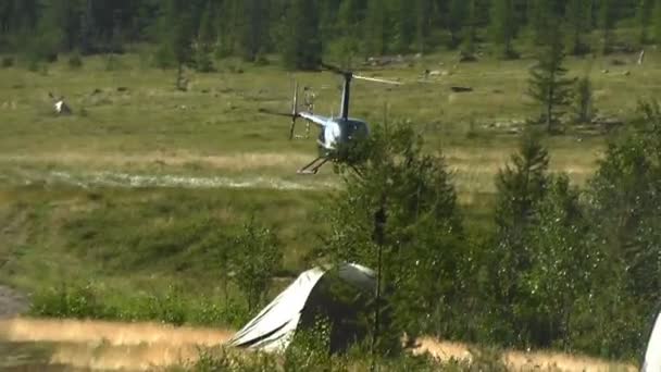 Elicottero atterrato in radura — Video Stock