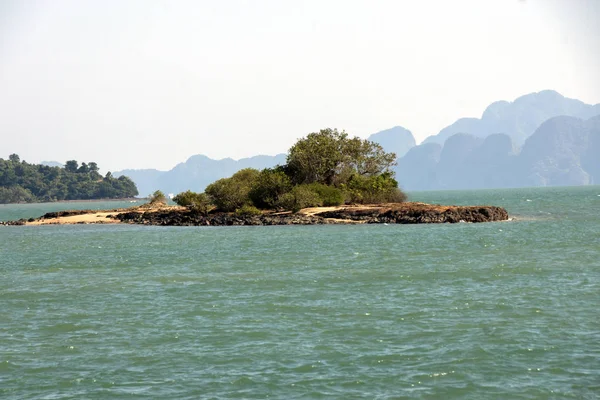 bir ağaç okyanusta küçük ada