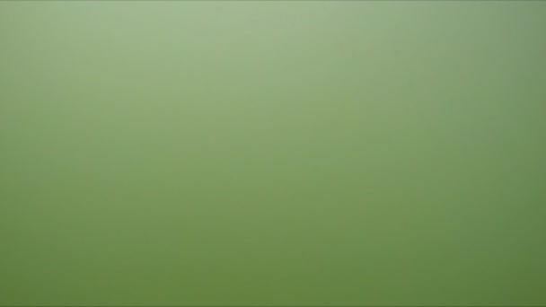 从海上浮出水面 — 图库视频影像