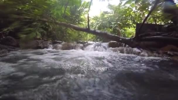 Warmwaterbron, stream in de jungle — Stockvideo