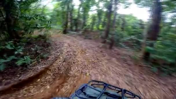 Excursiones en la selva ATV en carretera sucia — Vídeos de Stock