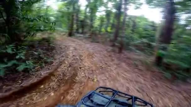 Dirty in the jungle