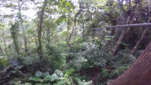 Volare sopra la giungla usando le corde — Video Stock
