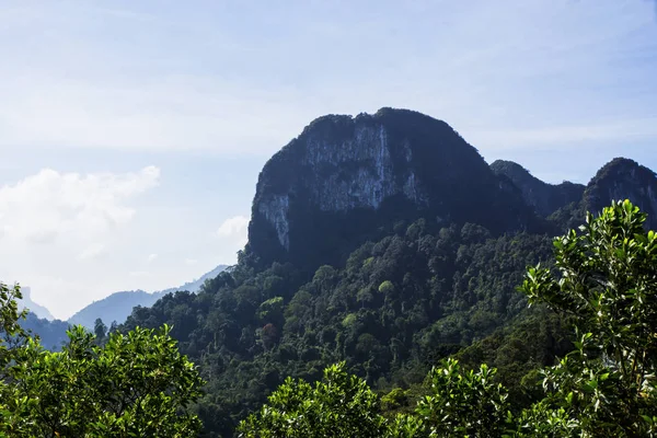 Güzel dağ ve orman