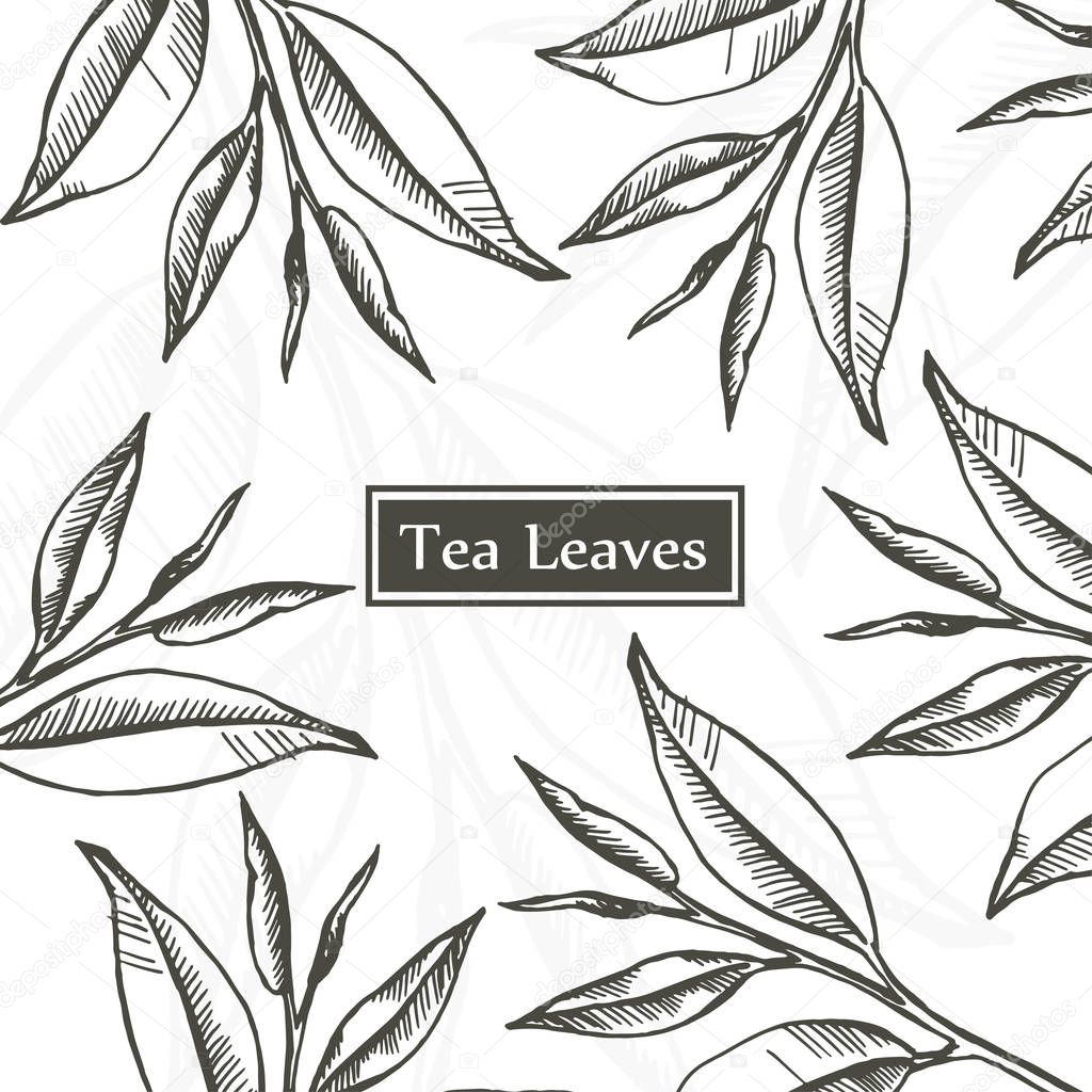 Tea leaves design template.