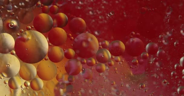 Fond coloré abstrait, Bulle jaune doré, Papier peint bulles d'eau jaune, Zoom macro bulles, Bulles de gros plan dans l'eau, Gouttes d'huile sur un fond abstrait de surface de l'eau .