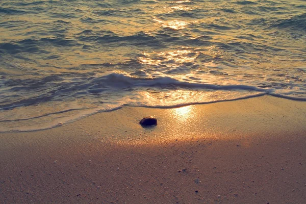 Камень на песчаном пляже во время заката, винтажный тон — стоковое фото
