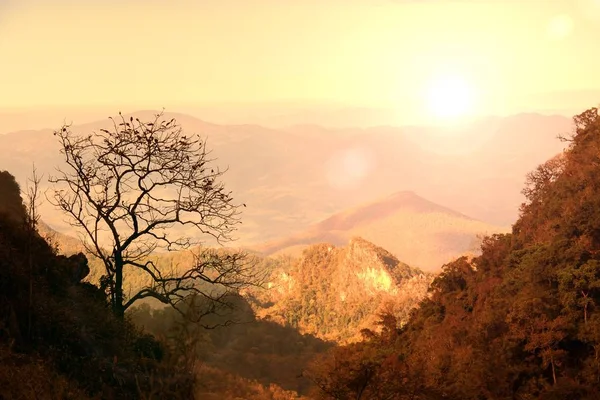 Arbre sans feuilles sur la montagne calcaire au coucher du soleil avec effet de fusée éclairante à Doi Luang Chiang Dao, Chiang mai, Thaïlande — Photo