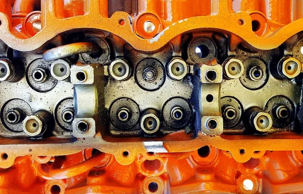 Cylinder head of an automobile engine