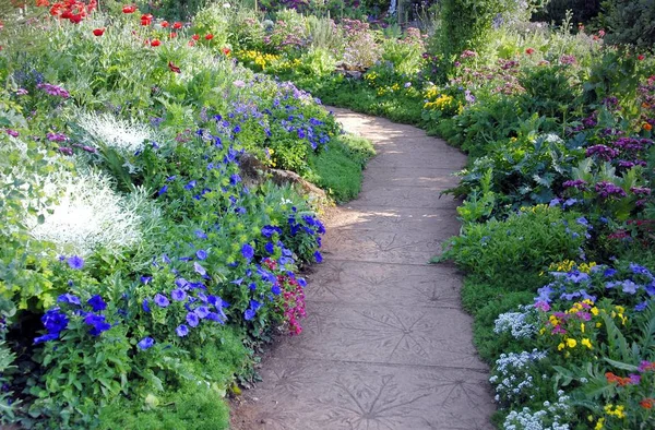 The path winding in flower garden — Stock Photo, Image