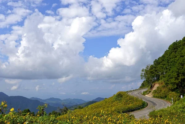 Route courbe sur un paysage de montagne verdoyant contre un ciel bleu clair — Photo
