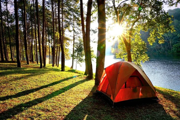 Orange camping tält i pinjeskog vid sjön — Stockfoto