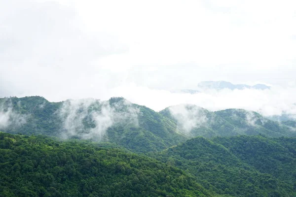 Paysage montagneux du matin avec vagues de brouillard et ciel nuageux. Wav ! — Photo