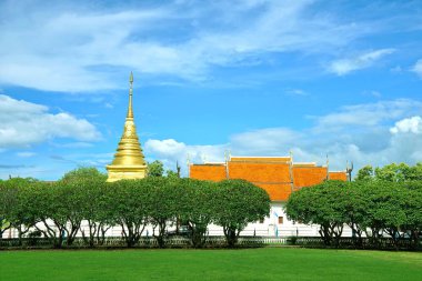 Golden pagoda ve r ile pembe Frangipani veya Plumeria ağacının satır