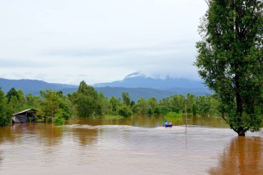 Phitsanulok, Tayland-Eylül 16,2017: ani sel kırmızı tur tarafından