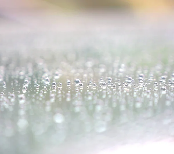 Klart vatten droppar på glas bakgrund med gul grön ton lig — Stockfoto