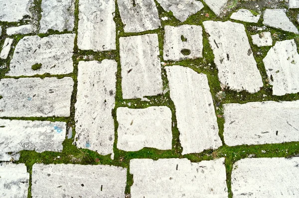 Stone wall with greenery. Nature Texture. — Stock Photo, Image