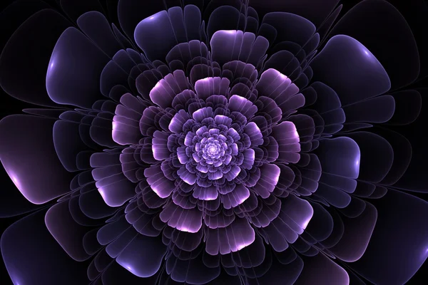 Abstrato fractal flor computador gerado imagem Fotos De Bancos De Imagens