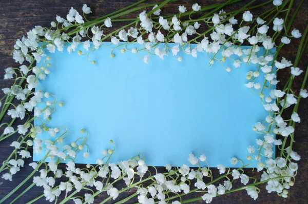 白色的花，百合的山谷在蓝色背景上的框架 图库照片