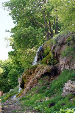 Yeşillik ve şelale ile taş duvar. Doku doğa. Metin, afiş, etiketi için arka plan.