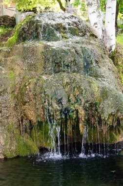 Yeşillik ve şelale ile taş duvar. Doku doğa. Metin, afiş, etiketi için arka plan.