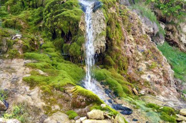 Yeşillik ve şelale ile taş duvar. Doku doğa. Metin, afiş, etiketi için arka plan.
