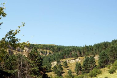 Dağlarda, güzel orman peyzaj güneşli bir görkemli doğal görünümü.