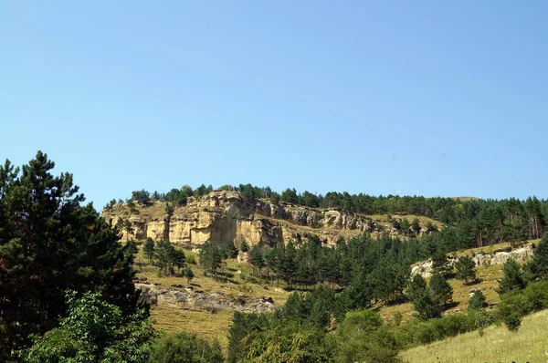 Dağlarda, güzel orman peyzaj güneşli bir görkemli doğal görünümü.