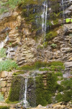 Yeşillik ve şelale ile taş duvar. Doku doğa. Metin, afiş, etiketi için arka plan.