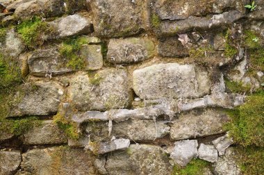 Taş duvar ile yeşil alan. Doku doğa. Metin, afiş, etiketi için arka plan.