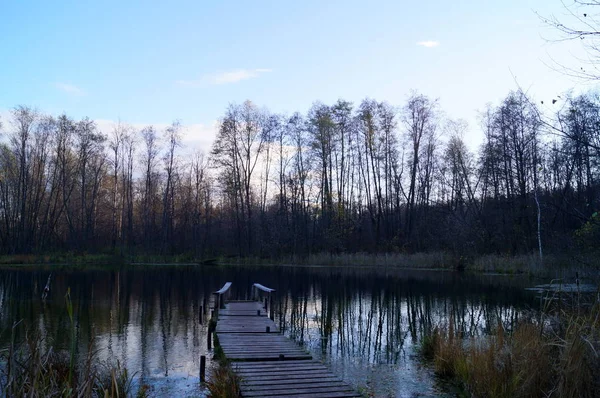 Floresta e lago azul à tarde, no final do outono. Paisagem de outono . — Fotografia de Stock