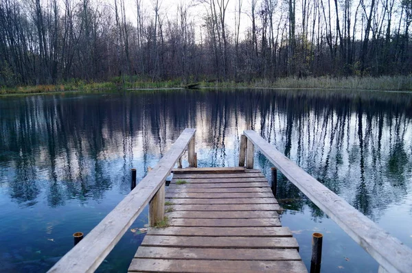 在下午的深秋森林和蓝色的湖。秋季景观. 免版税图库照片