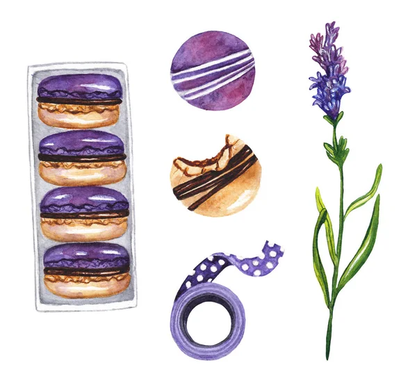 Macaron, lavanda, nastro viola. Illustrazione ad acquerello su sfondo bianco isolato — Foto Stock