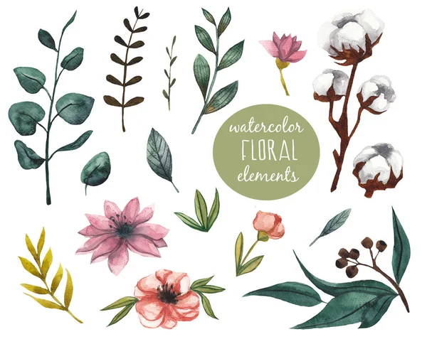 Akvarell Virágos Design Elemek Akvarell Kézzel Rajzolt Ábra Elszigetelt Fehér — Stock Fotó