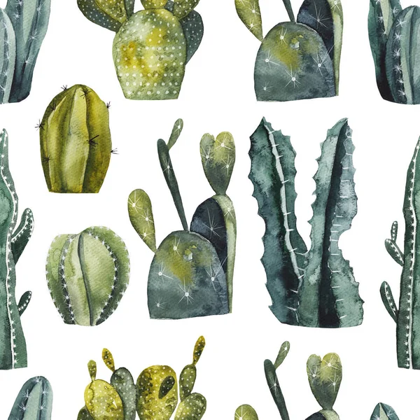 Seamless Pattern Watercolor Cacti White Background — Stock Photo, Image