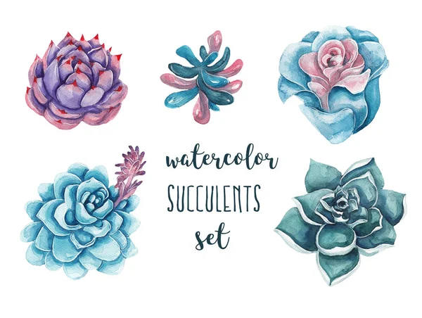 Krans Van Bloemen Bladeren Aquarel Illustratie Witte Geïsoleerde Achtergrond Floral — Stockfoto