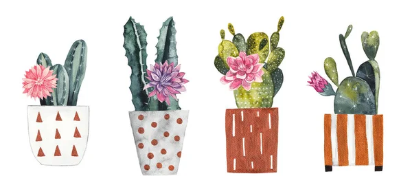 Watercolor Cacti Decorative Flower Pots White Isolated Background — Stock Photo, Image